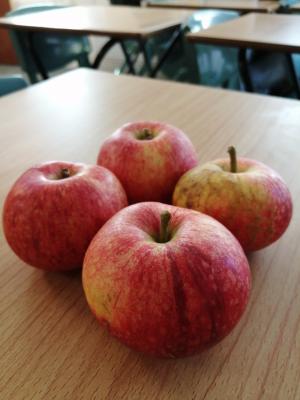 Some wonderful 'Beauty of Bath' apples grown by our Horticulture students