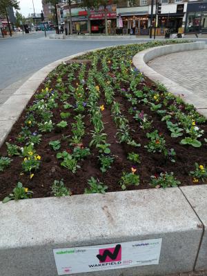 Last week horticulture students cleared the annual bedding in Wakefield bullring and replanted with a spring display